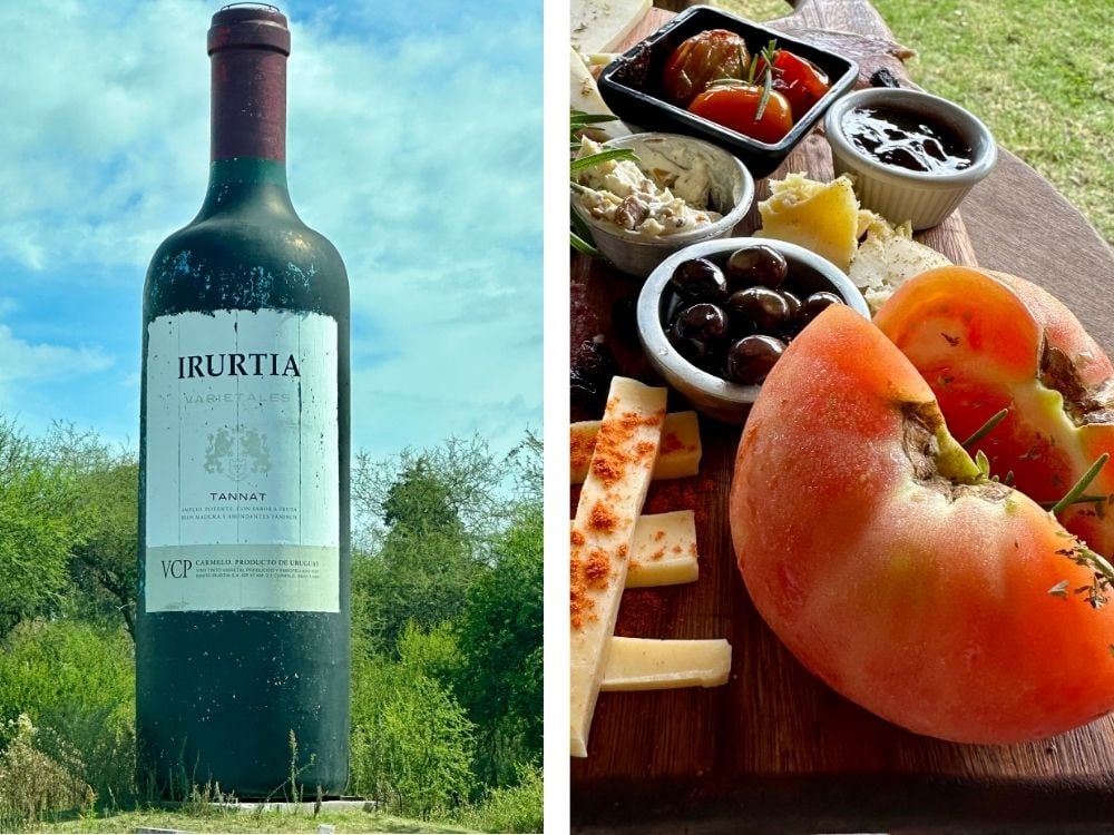 Wine and cheese board in the Carmelo wine region, Uruguay