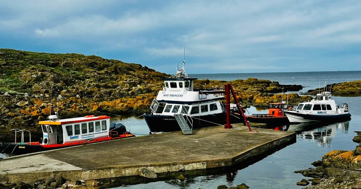 May Princess and RIB boats moored at the Isle of May during a boat trip from Anstruther.