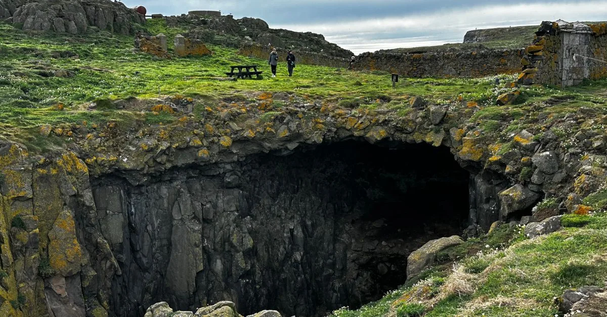 Sheer cliffs drop from grassy headlands on Isle of May.