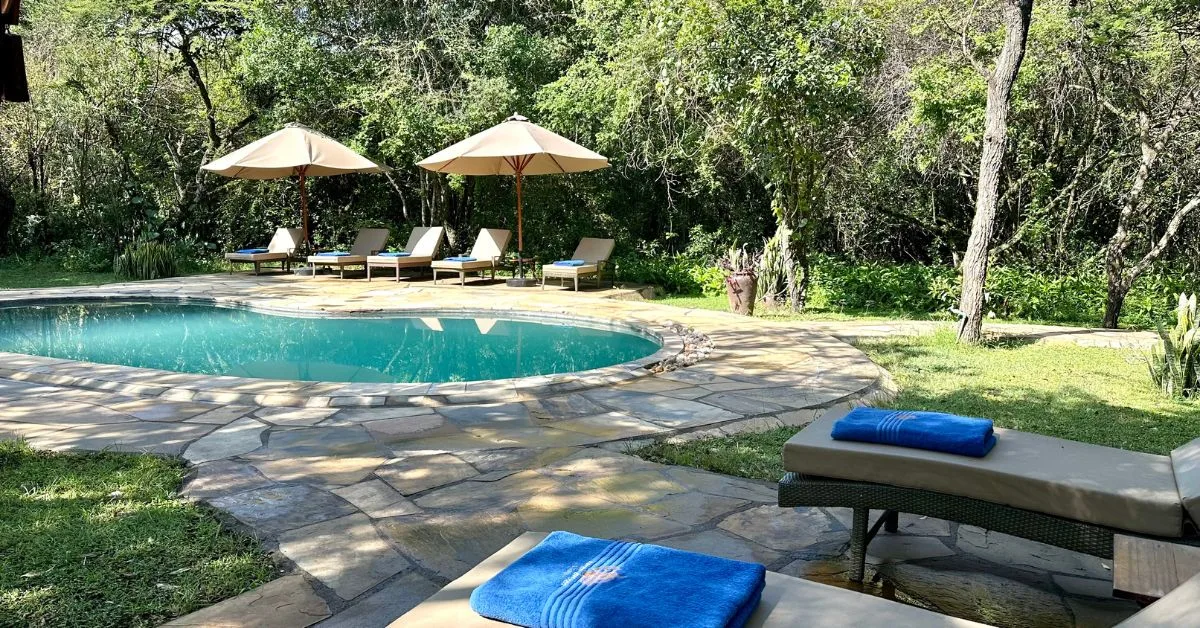 Karen Blixen Camp Swimming pool and sun loungers and parasols nestled into a forested area.
