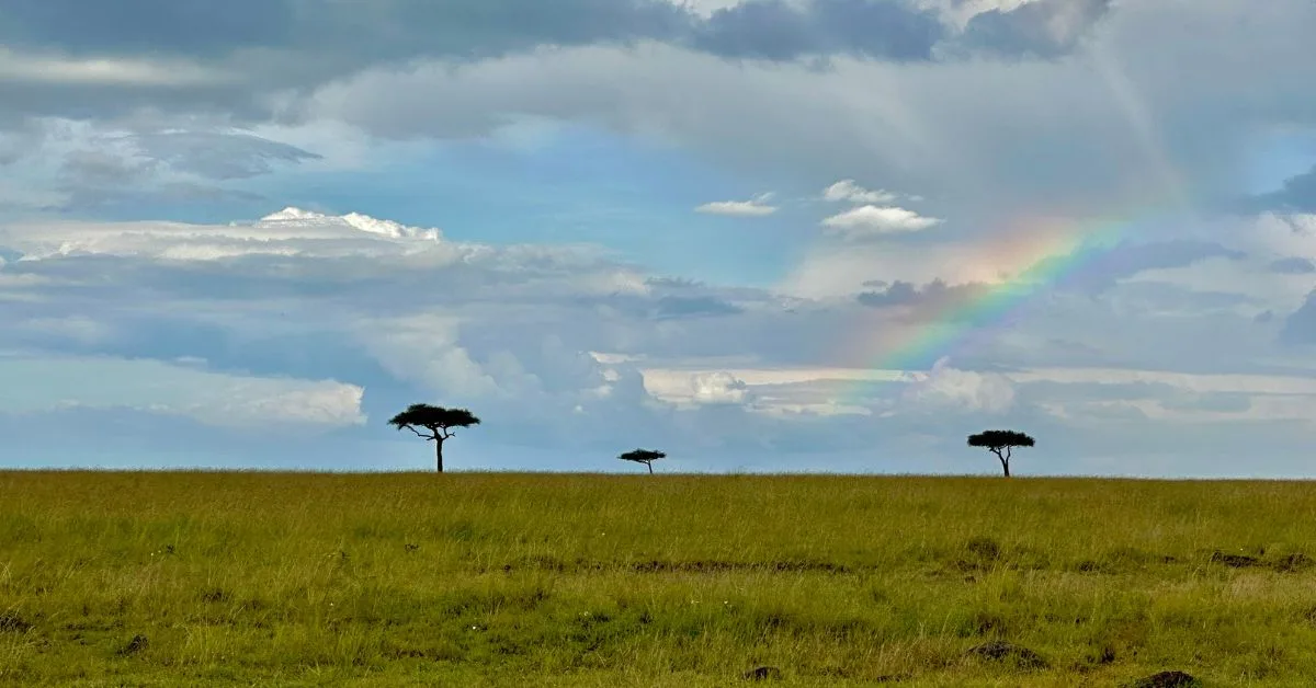 Rainbow against the green grassland of Masai Mara Kenya