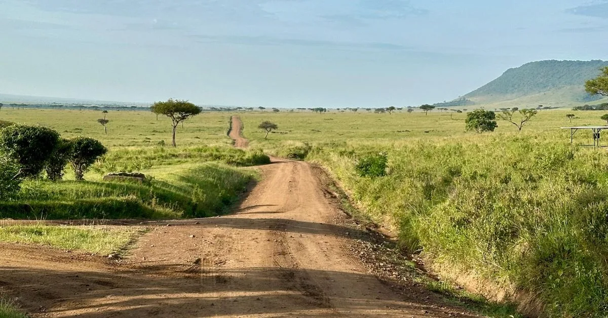 Road in Mara Reserve Kenya