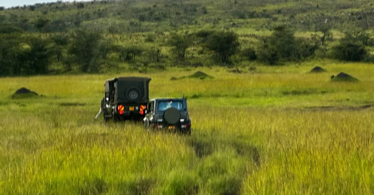 Safari vehicles in Masai Mara grasslands.