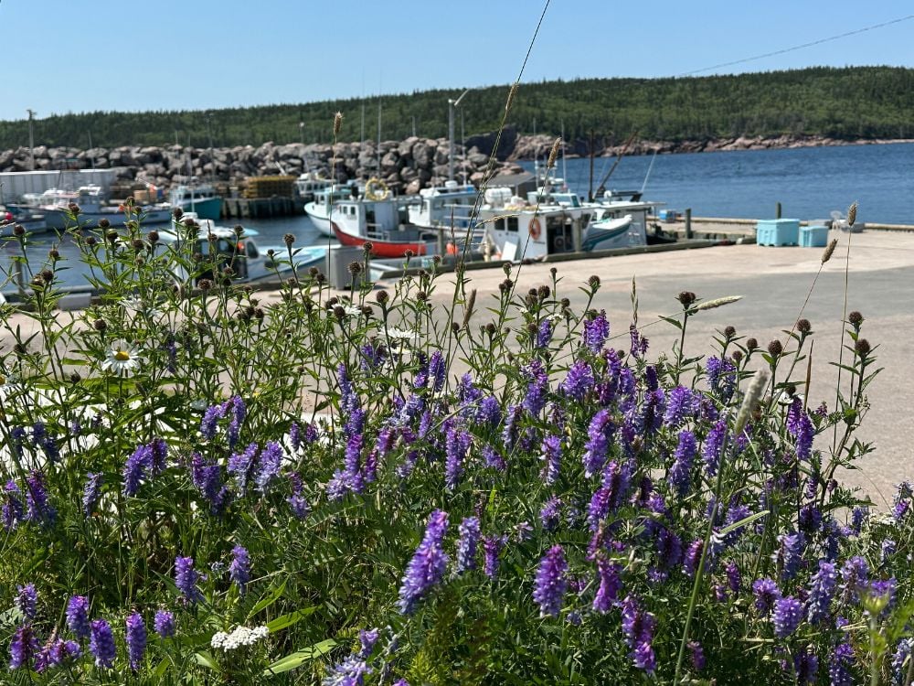 Colourful fishing boats and flowers at Neil's Harbour, Cape Breton