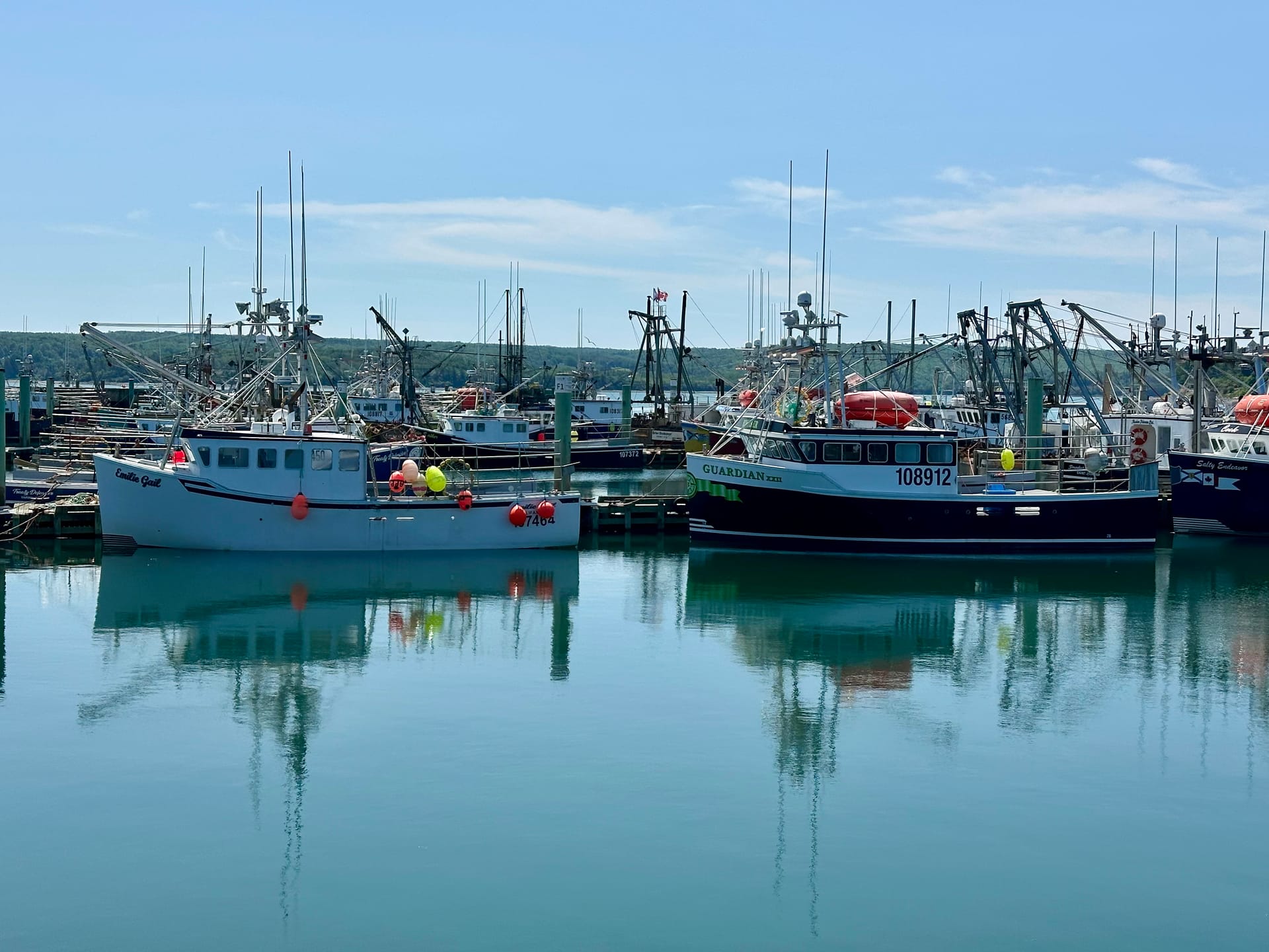Typical Nova Scotia fishing harbour with moored boats