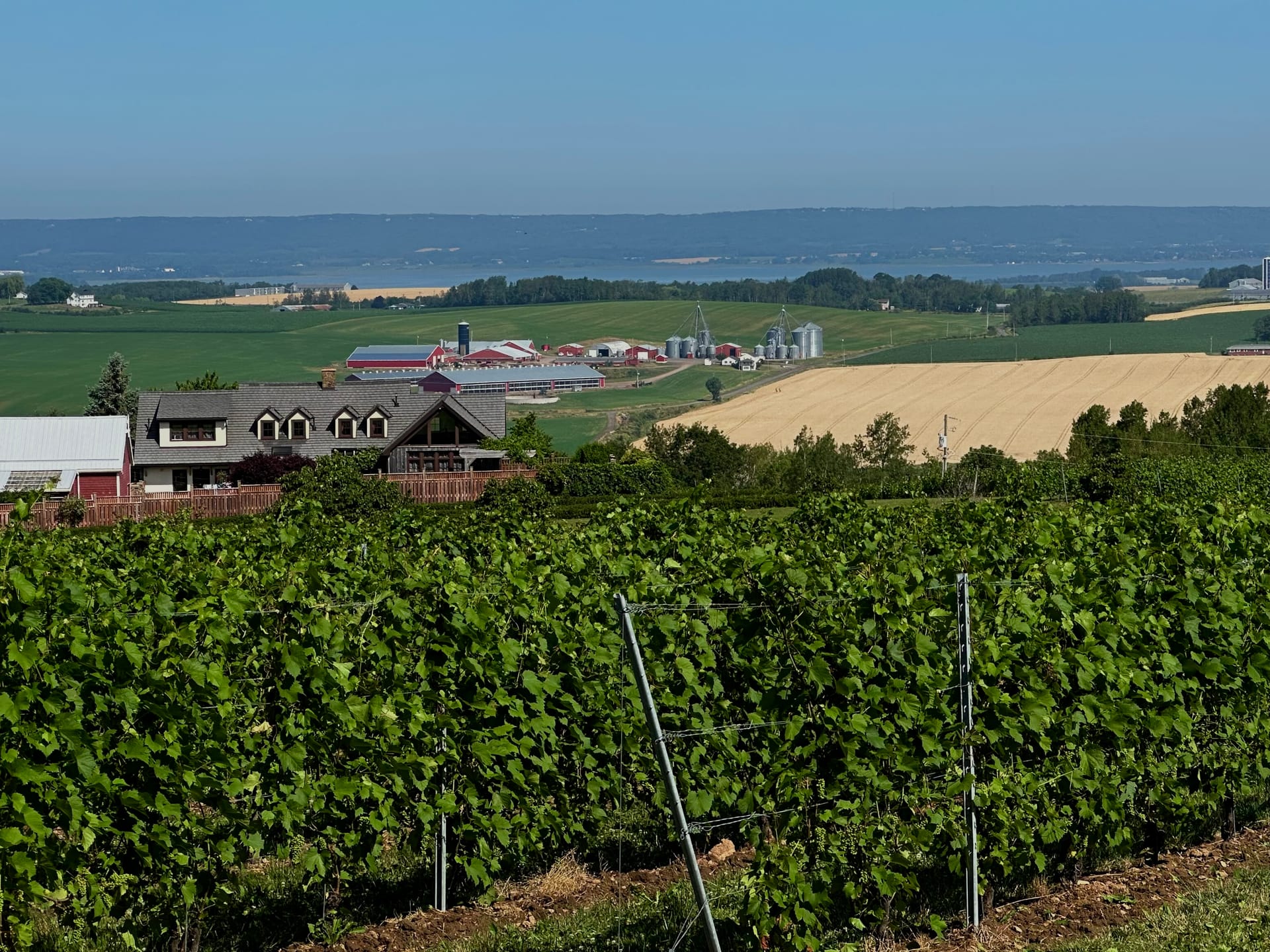 Vineyard and farm landscape in Nova Scotia road trip scenery
