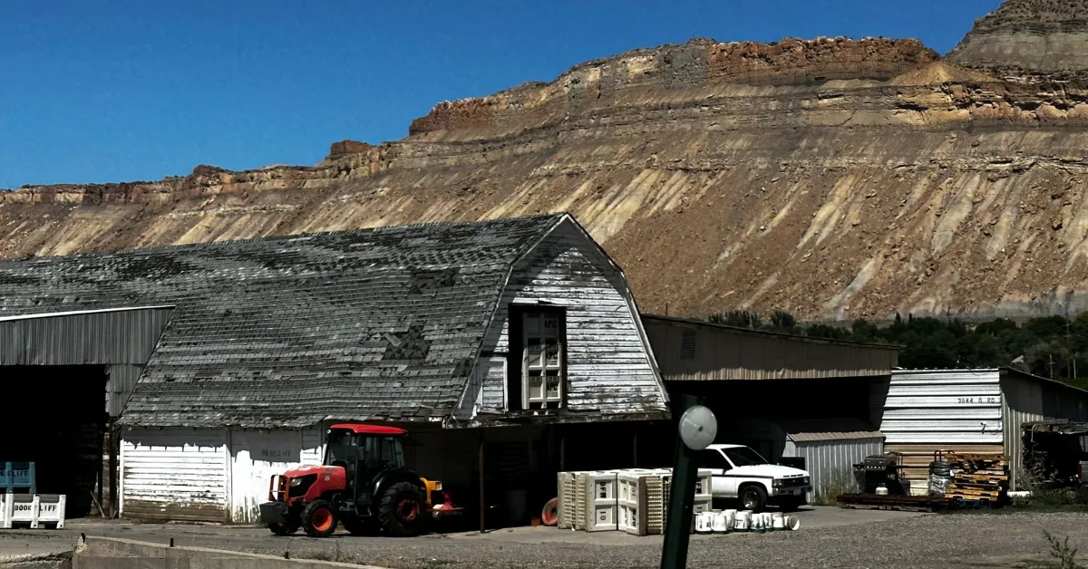 Fruit Farm with a wooden barn, tractor and Grand Mesa in background.