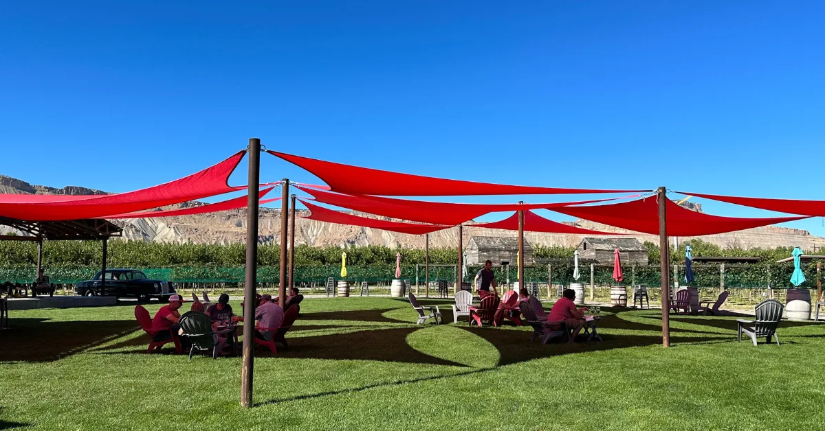 Red canopies overhead shade people seated around small tables on a grassy area tasting wines in Restoration Vineyard, Palisade Co.