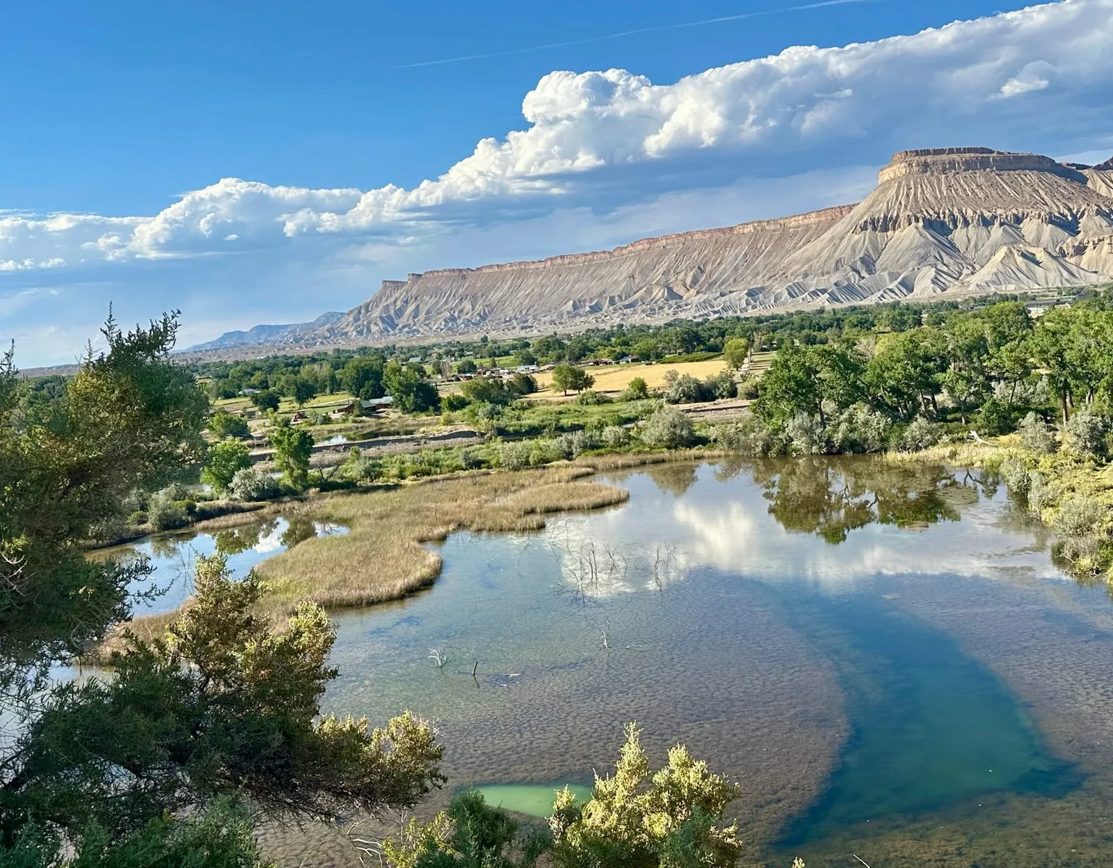 Palisade Colorado river landscape