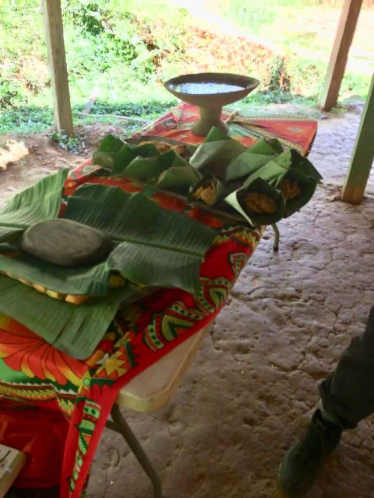 Banana leaves in Embera village on a table are being used as plates for a lunch in Panama.