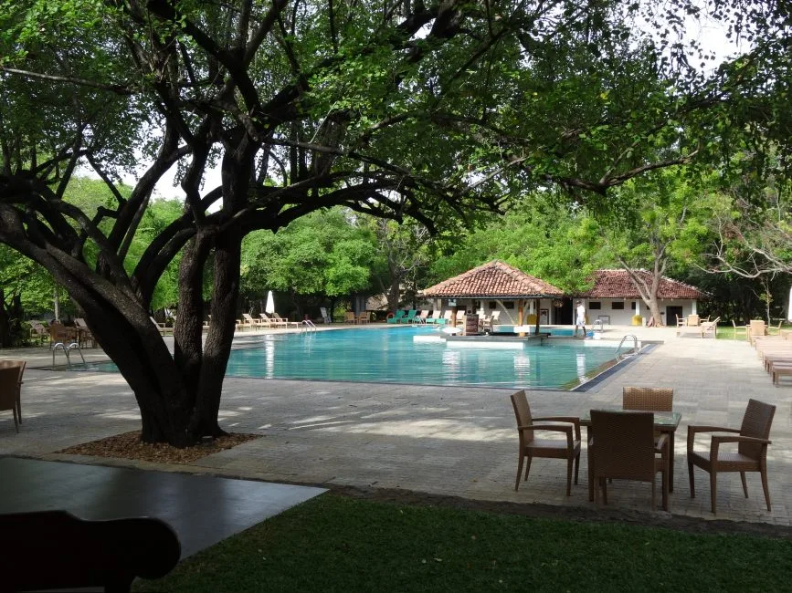 Hotel swimming pool with large trees for shade, tables to sit and have a drink and sun loungers. A swim up bar is under a small shaded hut area.
