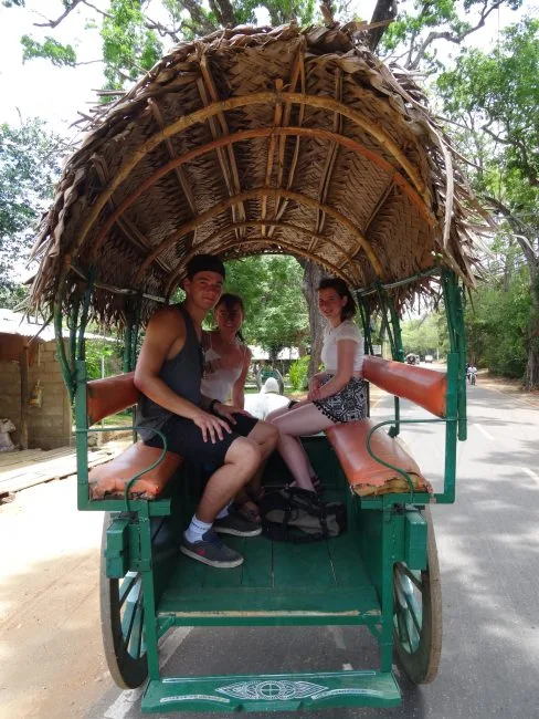 Tourists are riding in a Bullock Cart which is a small vehicle used to transport animals in the past. It is green with a thatched shade roof.