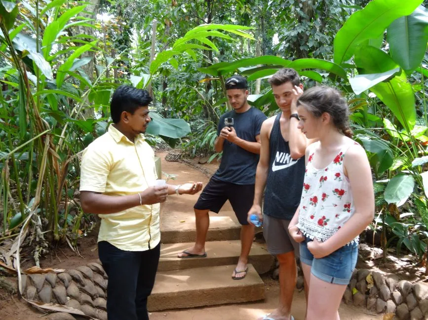 Guide explaining about the spices in the spice garden in Sri Lanka