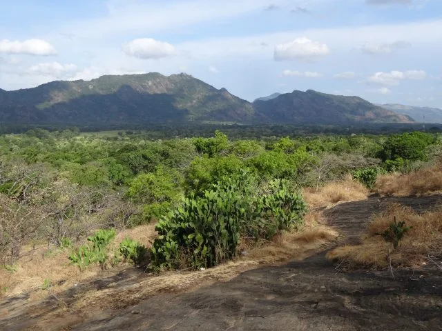 Landscape scene of scrubland and in the distance the highland of Sri Lanka.