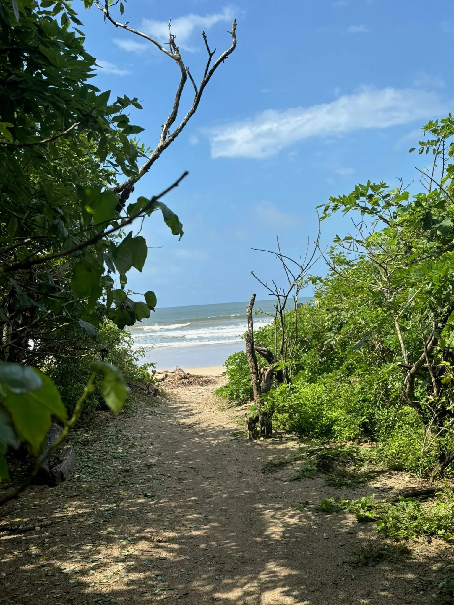Playa Grande beach Costa Rica