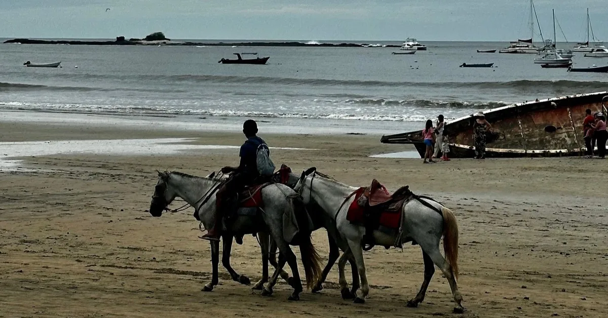 3 horses on a beach available to hire. Many sail boats are anchored.