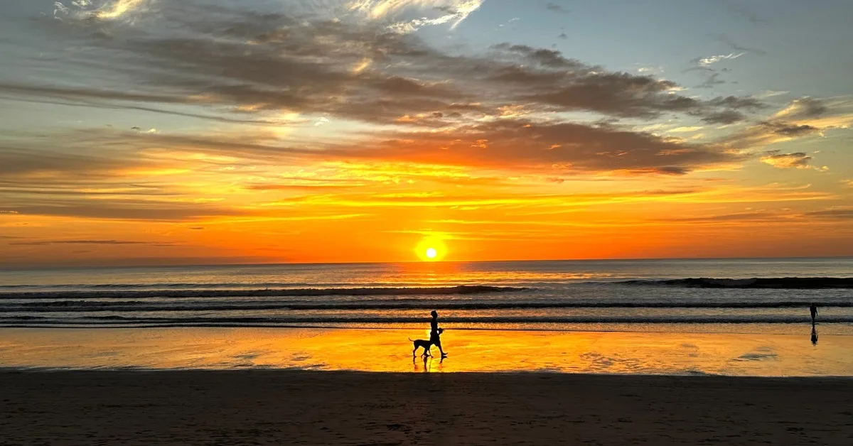 The sun is touching the horizon over the waters of the Pacific Ocean as it sets over Playa Grande Beach. A dog walker strolls along the beach.