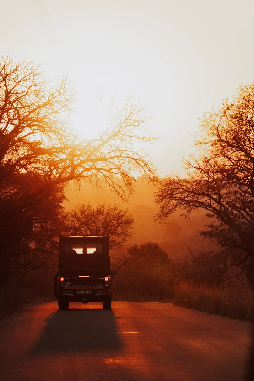 Safari vehicle at sunset in South Africa game reserve