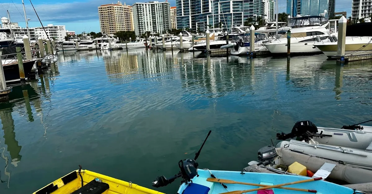 Sarasota marina where line of boats are moored and behind them skyscraper buildings.
