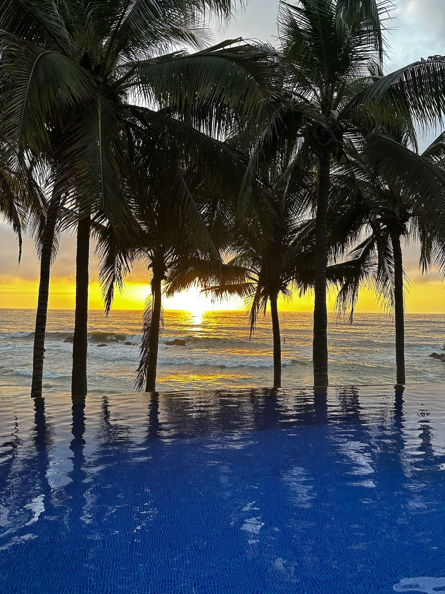 Sayulita Mexico sunset palm trees
