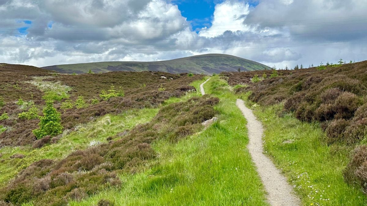 Scenic walking trails through the Speyside countryside near Aberlour, Scotland