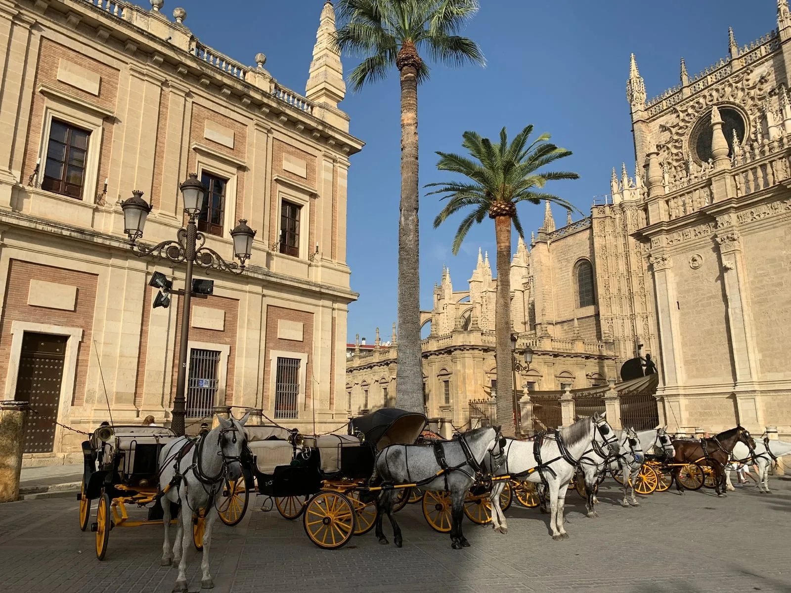 Seville cathedral horse carriages