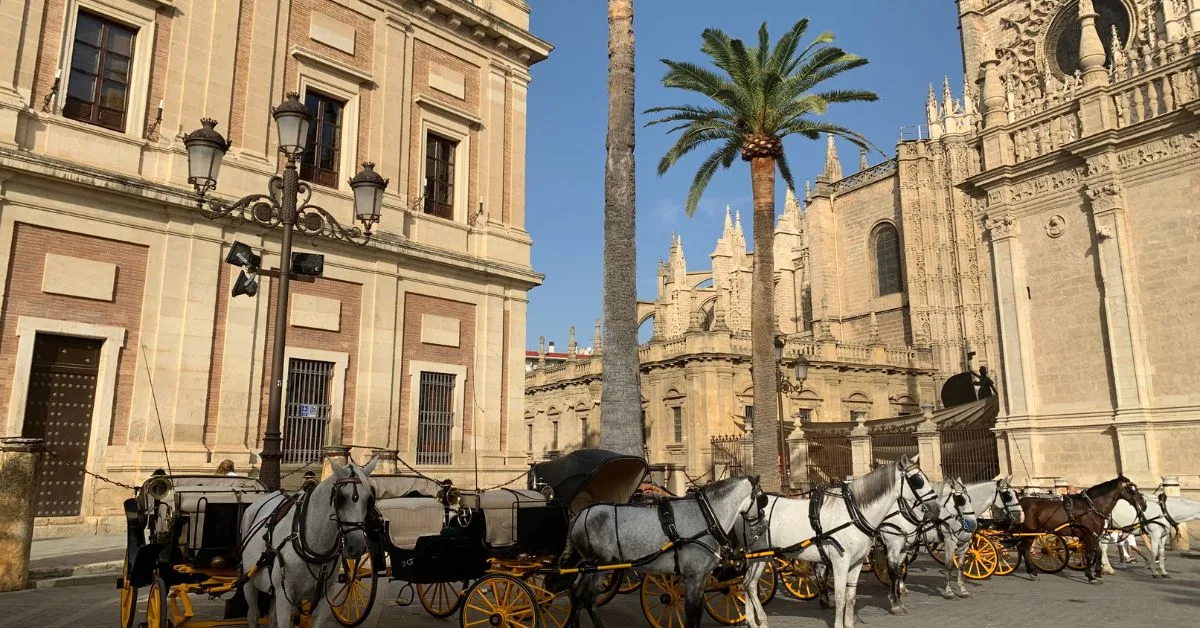 Horses and carriages stand in the square next to stone buildings with palm trees