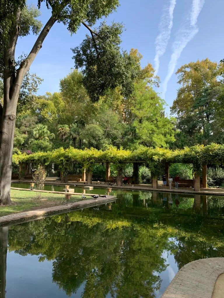 A pond and trees are to be found in Maria Luisa Park, Seville.