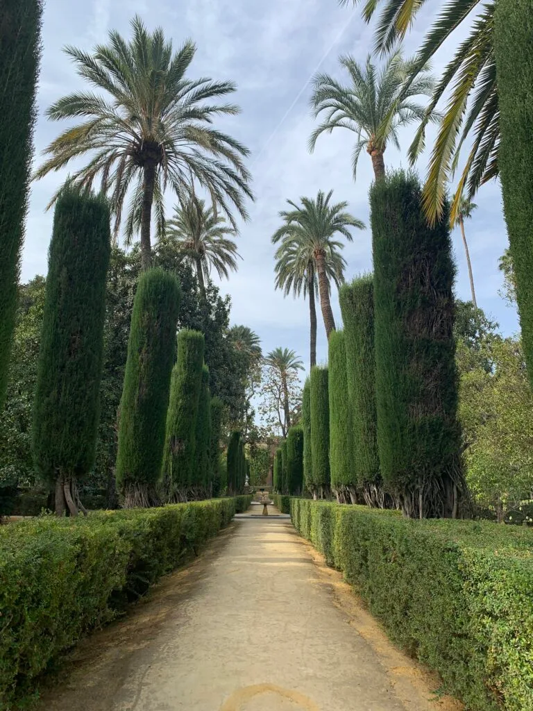 Garden palace with green hedges and trees forming a straight avenue.