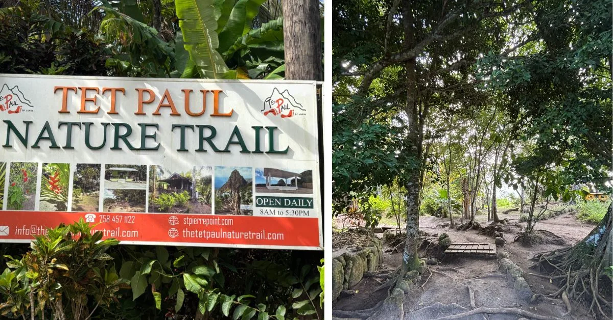Information board about Tet Paul trail and image of one of the trail pathways which is uneven but flat with trees either side