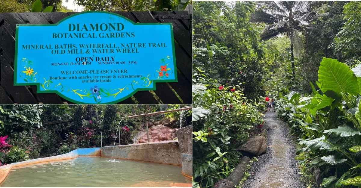 Information board about the botanical gardens, a mineral pool and a pathway with tropical plants and palms either side of the path