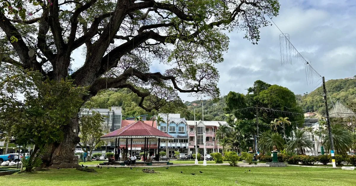 Huge oak tree on the green to the left of image with a at the bandstand centre, Behind sit colourful colonial houses.