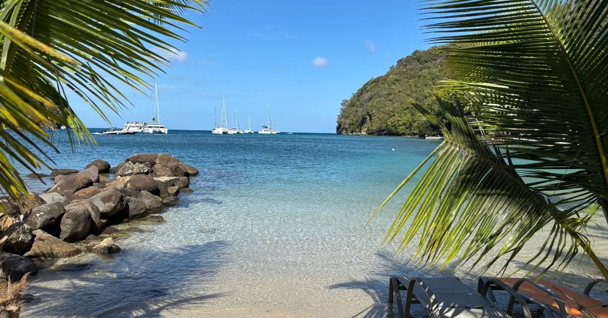 Palm trees either side with shallow water in the middle and boats in the distance. blue skies and sunny.
