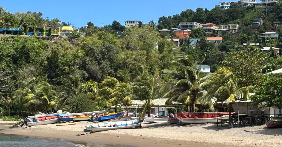 Beach with small colourful boats pulled up on the sand, palm trees along the beach and colourful houses in the hills above