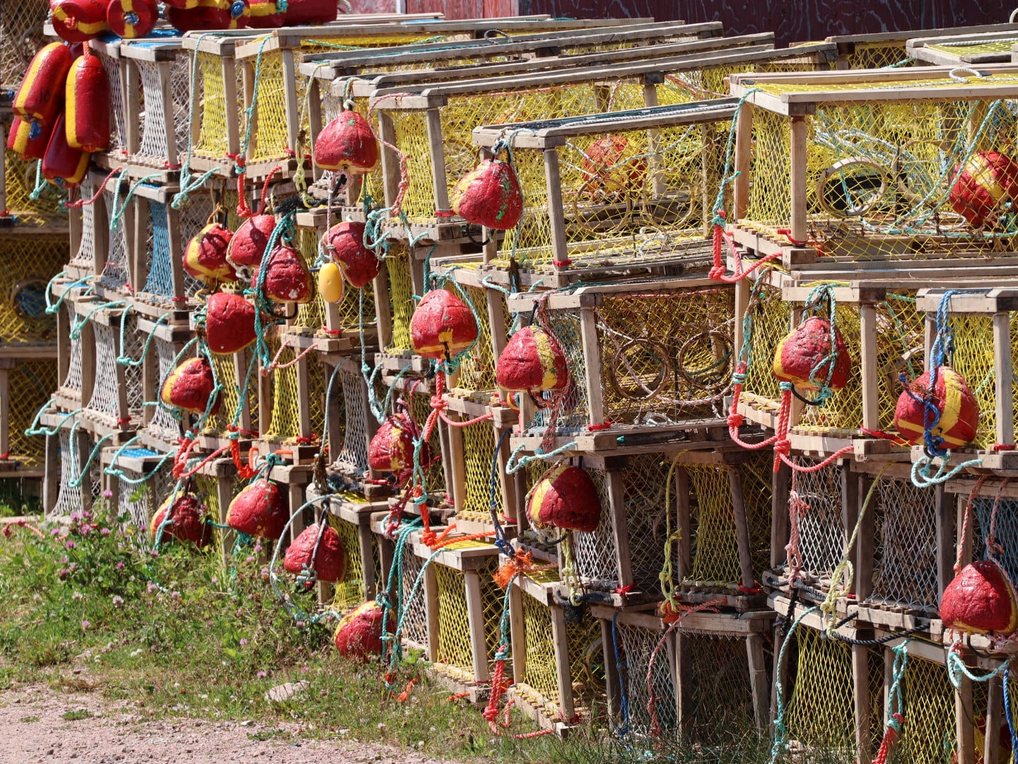 Stacked lobster traps and buoys in Nova Scotia