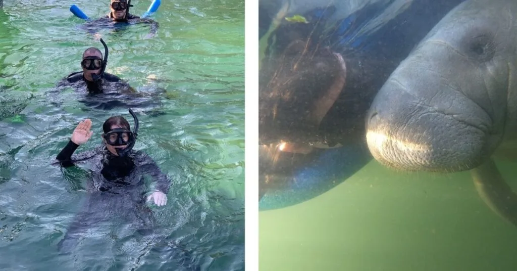 Swimming in Crystal River on a Manatee Boat Trip.