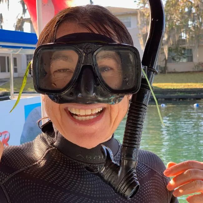 Woman in snorkel mask going swimming with manatees.