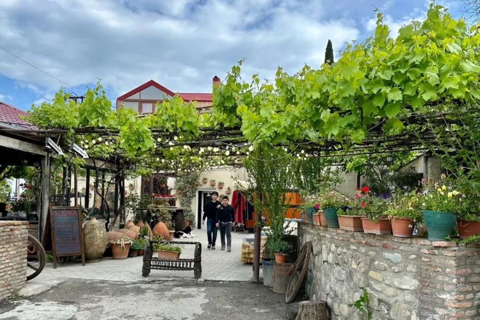 A village in Georgia in mountains, with vines growing overhead, cobbled street and local people walking.
