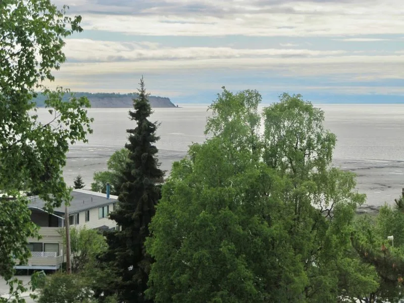 View of the Cook Inlet Anchorage