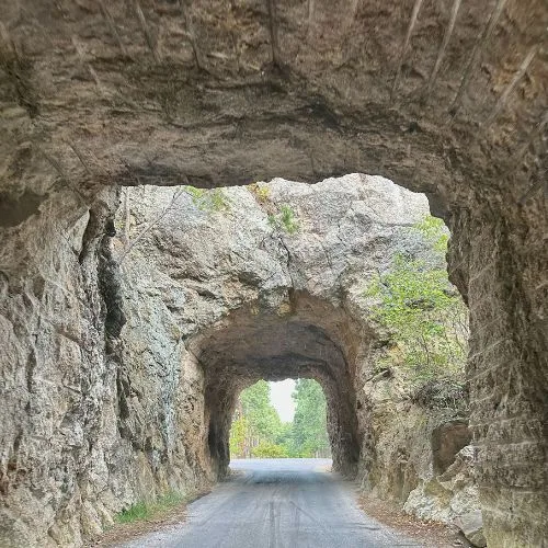 Stone archways on a small single track road in black hills south dakota