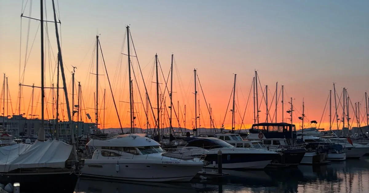 Yachts in the marina with sunset in background