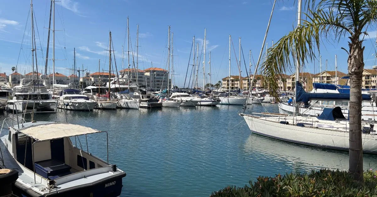 marina with lots of small yachts in it