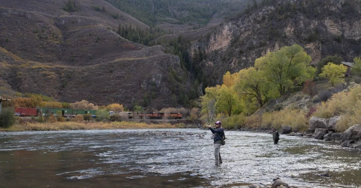 People fly fishing in a river with a train running along the edge of the river bank.