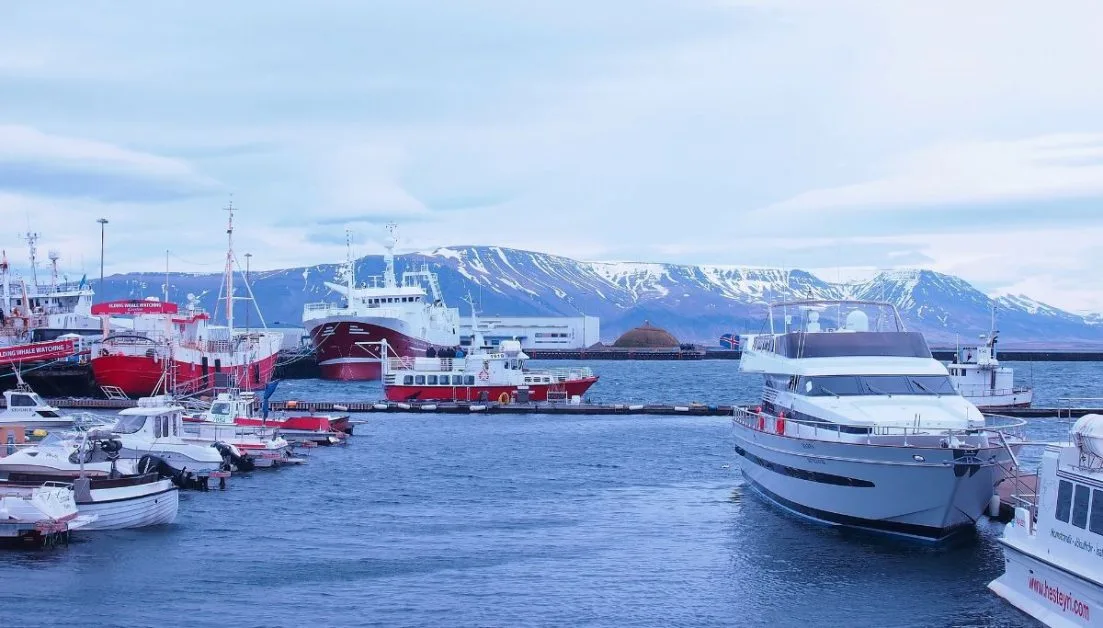 Whale watching boats in Iceland.