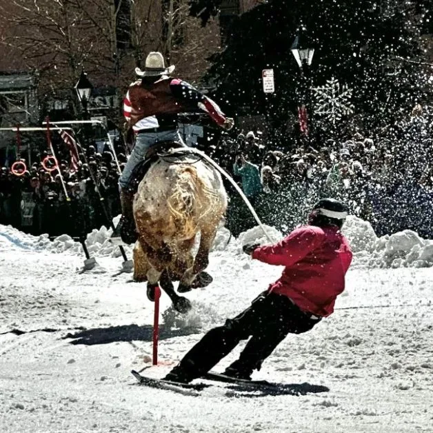 A horse and rider are attached to a rope and at the other end is a skier. They are taking part in an annual Leadville event.
