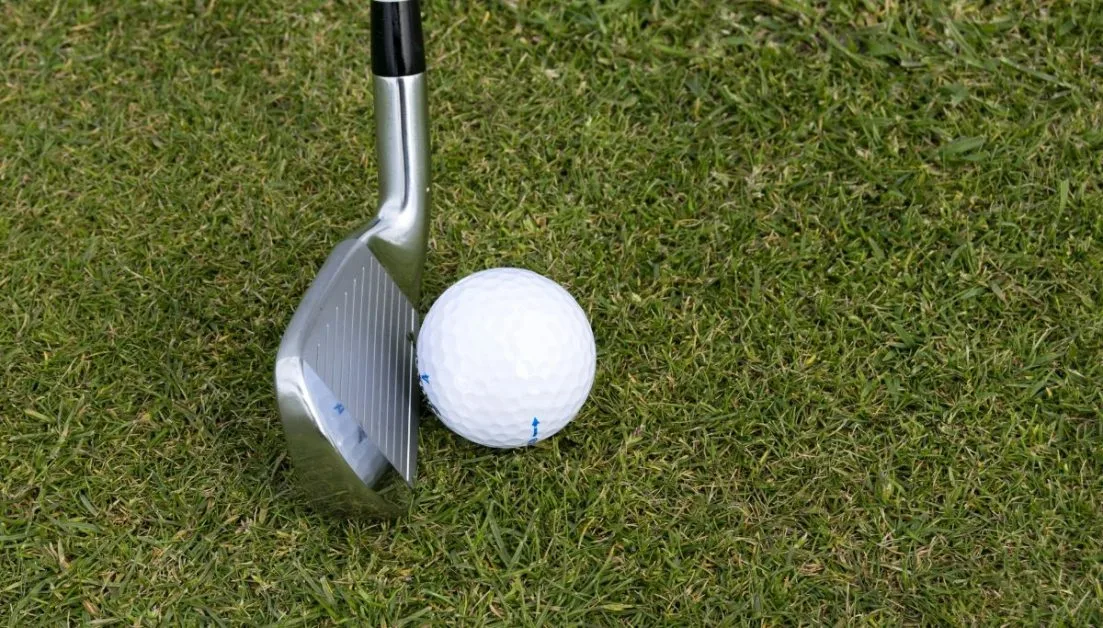 Golf club and golf ball on green.
