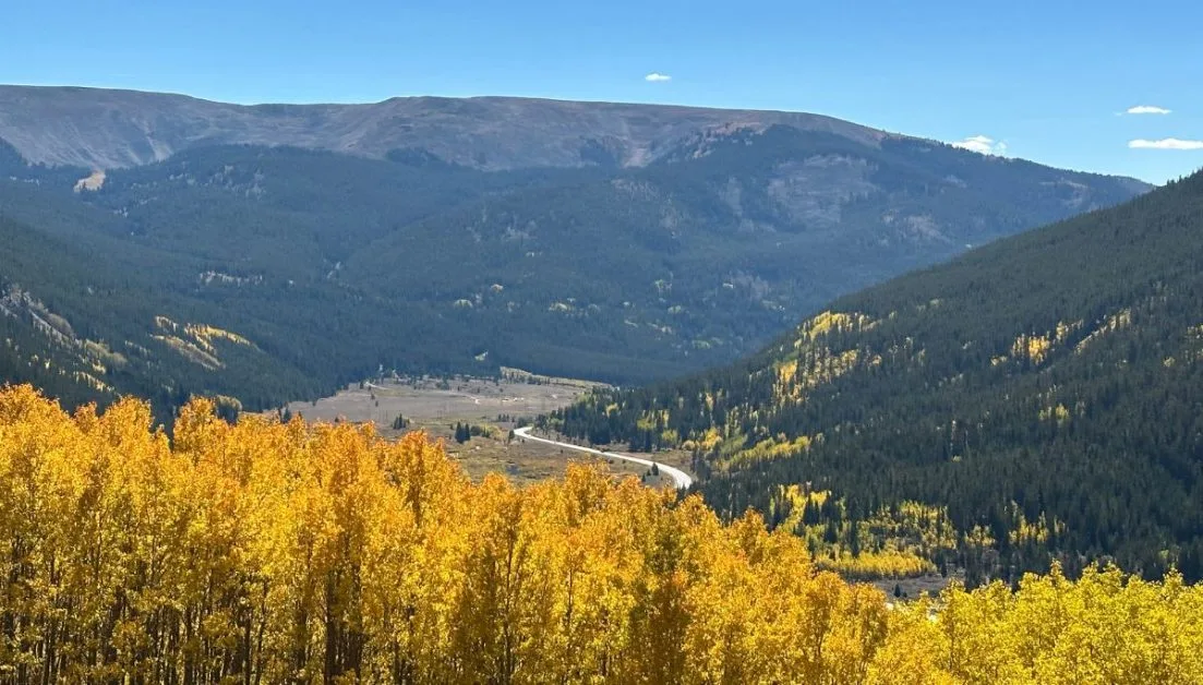 Valley views in Rocky Mountains during fall with golden aspen trees declaring the hill sides.