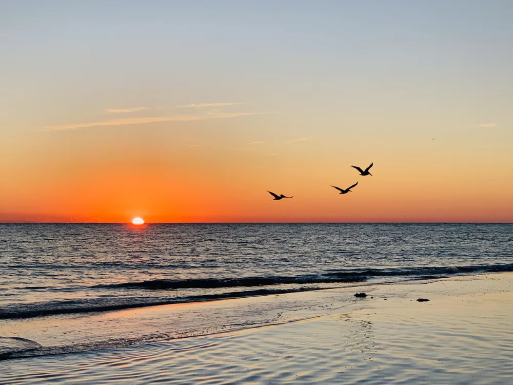 17 Fun Things to Do In Sarasota Locals Love Too!