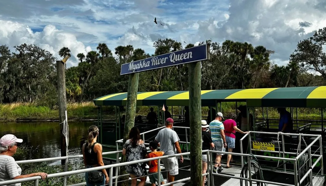 Visitors are boarding a Boat Tour in Myakka State Park. The vessels are air boats with a roof for shade.