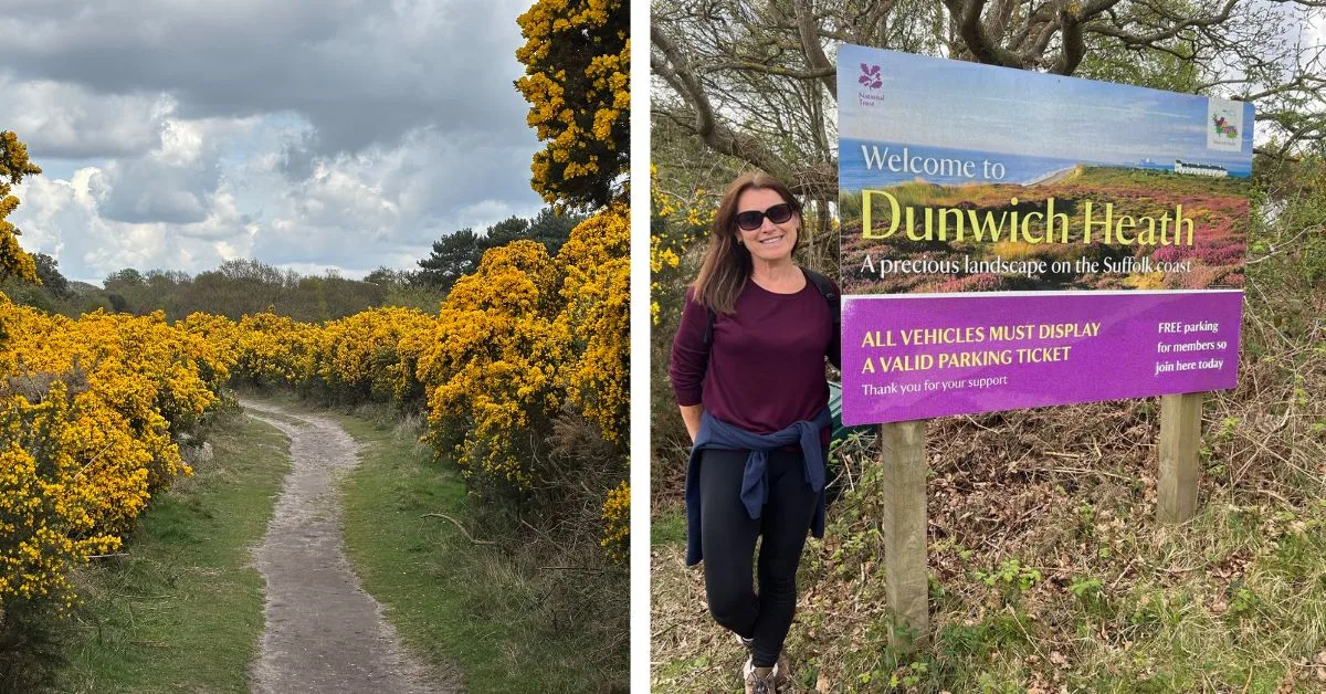 Pathway with yellow gorse bushes either side. woman standing by a sign saying Dunwich Heath. A top thing to do in Walberswick.